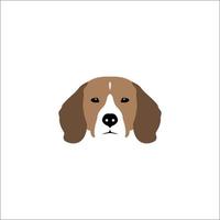 cabeza de beagle aislada sobre fondo blanco. Ilustración de vector de perro de raza pura.