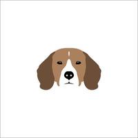 Beagle head isolated on white background. Purebred dog vector illustration.