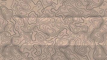 Topographic line map. Abstract concept topographic map in vintage style. vector