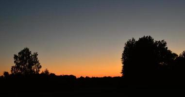 siluetas de árboles en naranja atardecer foto