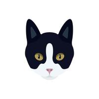 Portrait of a black and white cat with a pink nose. vector