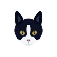 Portrait of a black and white cat with a pink nose. vector