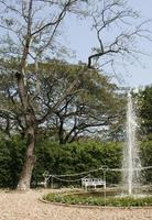 Fountain in a garden photo