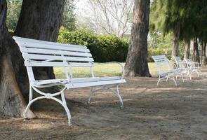 Benches and trees photo