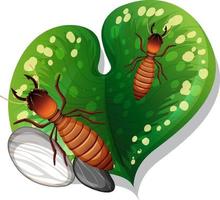 Top view of termite on a leaf isolated vector