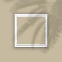 picture frame with plant shadow overlay 0301 vector