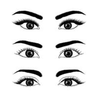 conjunto de ojos realistas dibujados a mano vector