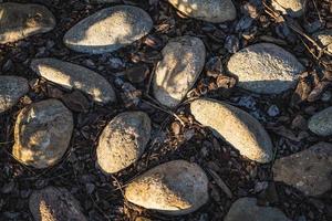 Cobblestone ground path with boulders and cork bark