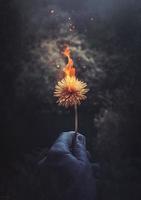 Burning yellow flower composite image photo