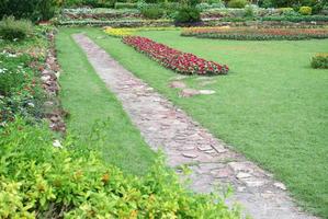 Stone pathway in a garden photo