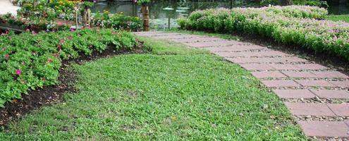 Path in a garden photo