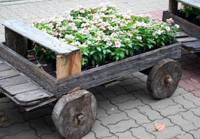 Flowers in a wagon photo