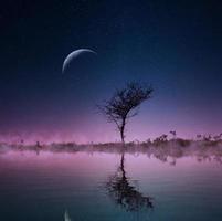 Tree on the water at twilight with the moon photo