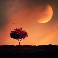 árbol y puesta de sol en la naturaleza con gran luna compuesta foto