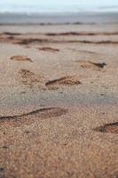 Footprints in the sand on the beach photo