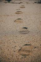 Footprints in the sand on the beach photo