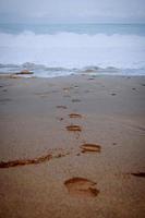 Footprints in the sand on the beach photo