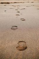 Footprints in the sand on the beach photo