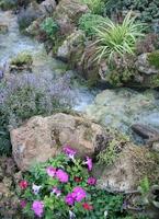 Stream and flowers photo