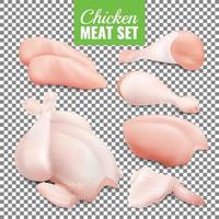 chicken meat set vector