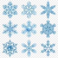 realistic snowflake set vector