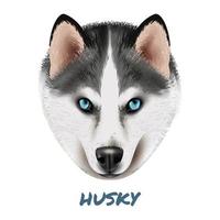 retrato realista perro husky vector