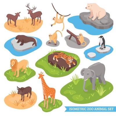 isometric zoo animal set