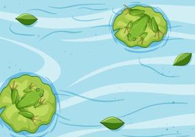 Top view of frog on lotus leaf in the water vector