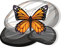 Top view of butterfly on a stone on white background vector