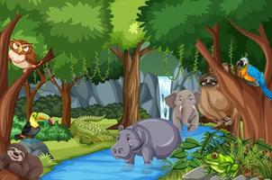 personaje de dibujos animados de animales salvajes en la escena del bosque vector