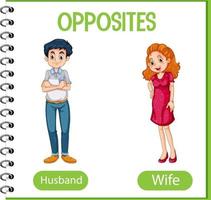 palabras opuestas con marido y mujer vector