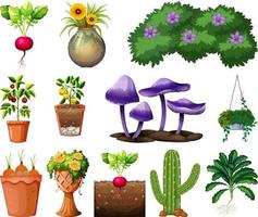 Set of different plants in pots isolated on white background vector