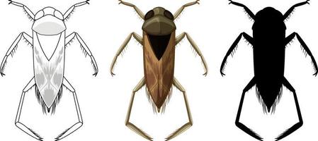 Set of backswimmer beetle in three style vector