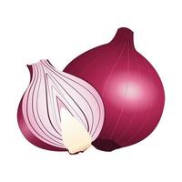 fresh onion healthy vegetable icon vector