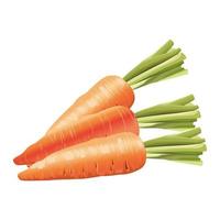 zanahorias frescas verduras saludables iconos