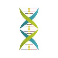 dna molecule structure isolated icon vector