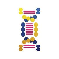 dna molecule structure isolated icon vector