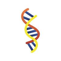 dna molecule structure isolated icon vector