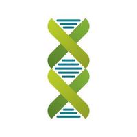 dna molecule structure isolated icon vector