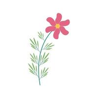 pink flower and leafs in branch flat element vector