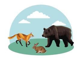 wild bear with rabbit and fox in the field vector