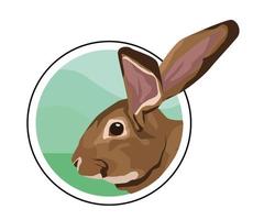 cute wild rabbit animal head in circular frame vector