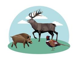 wild pig with pheasant bird and reindeer vector