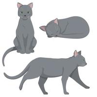 Russian blue cat in different poses. vector