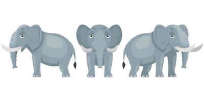 elefante en diferentes ángulos. vector