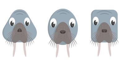 Set of cartoon walruses. vector