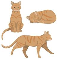 gato pelirrojo en diferentes poses. vector