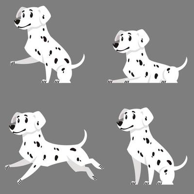 Dalmatian in different poses.