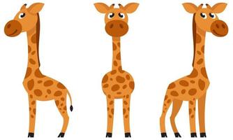 Baby giraffe in different poses. vector