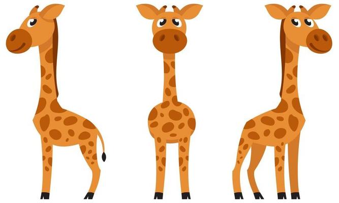 Baby giraffe in different poses.